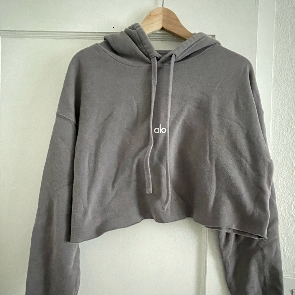 Alo Cropped Hoodie